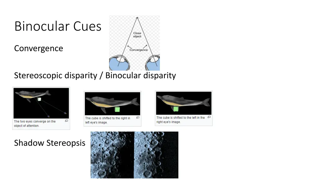 binocular cues