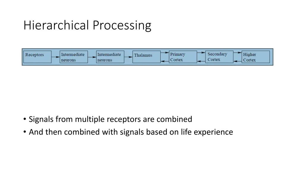 hierarchical processing