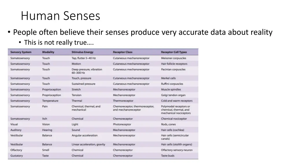 human senses people often believe their senses