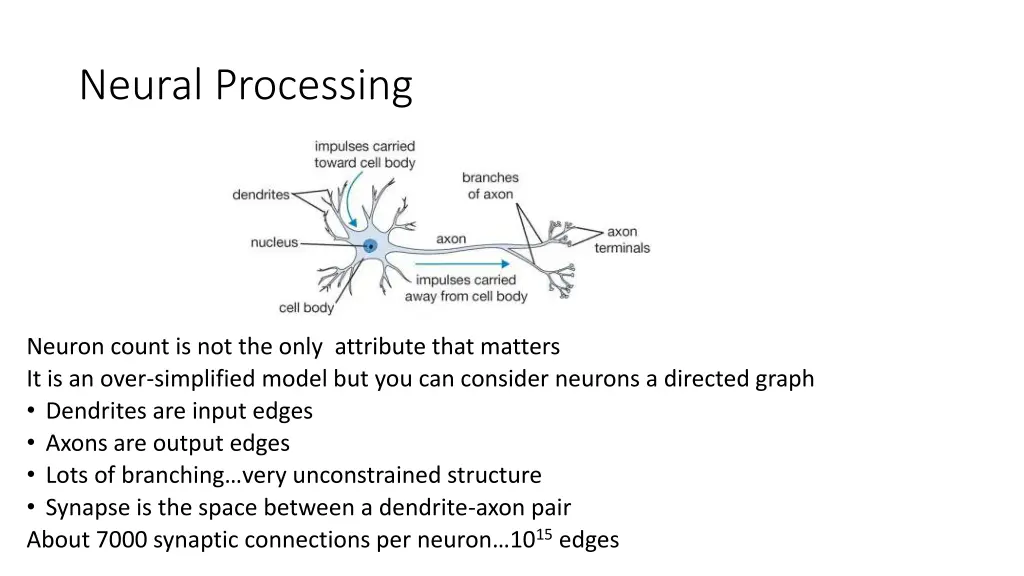 neural processing 1