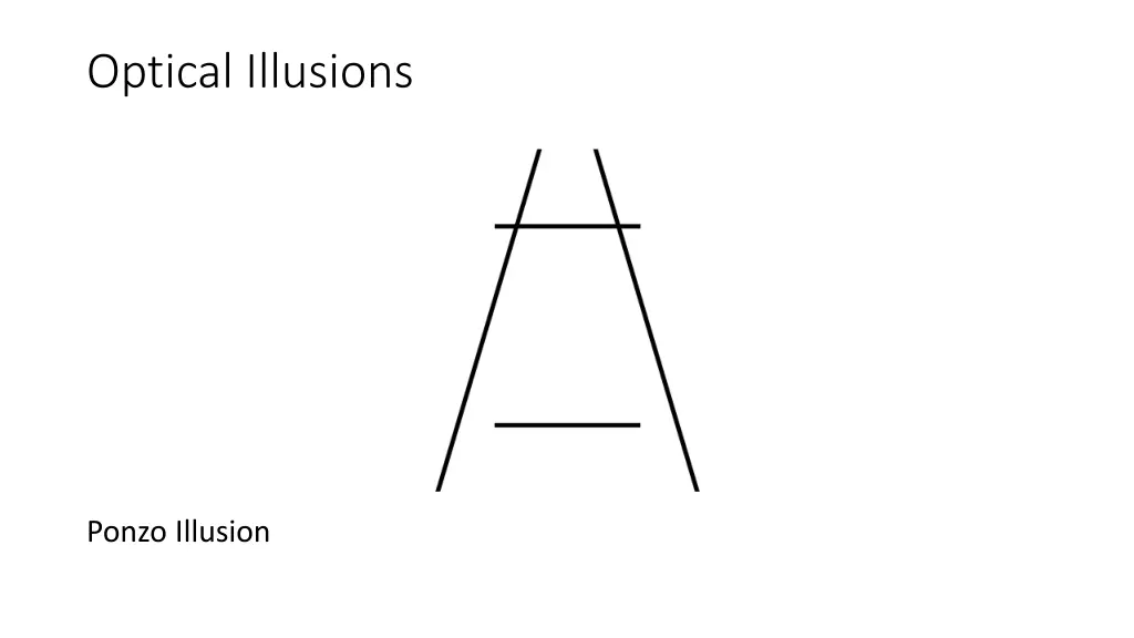 optical illusions