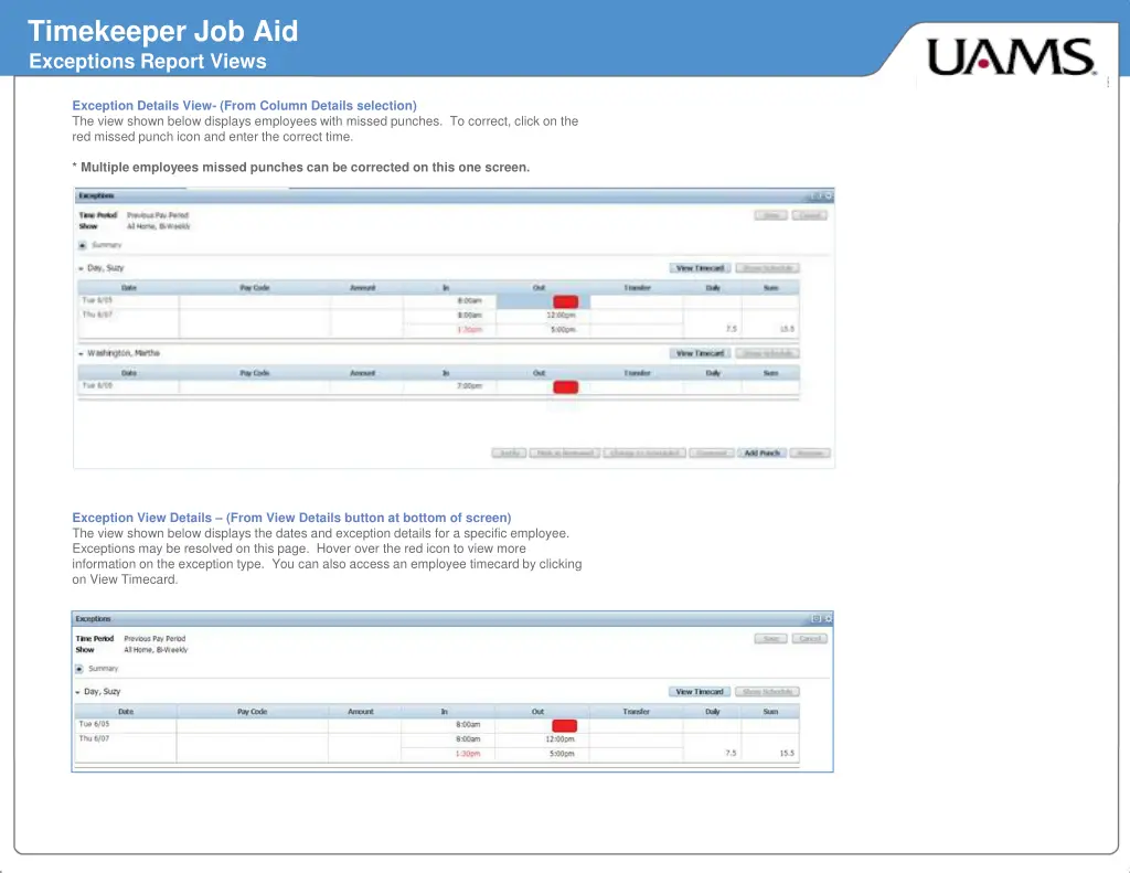 timekeeper job aid exceptions report views