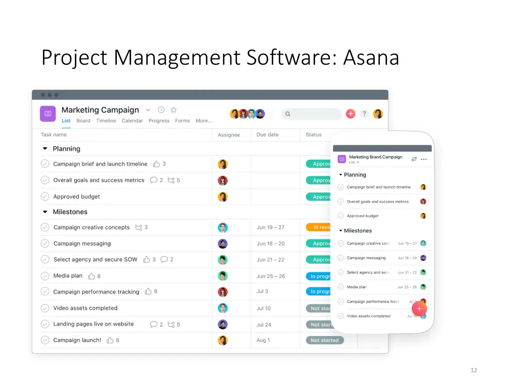 project management software asana