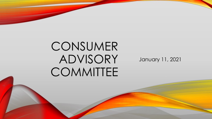 consumer advisory committee