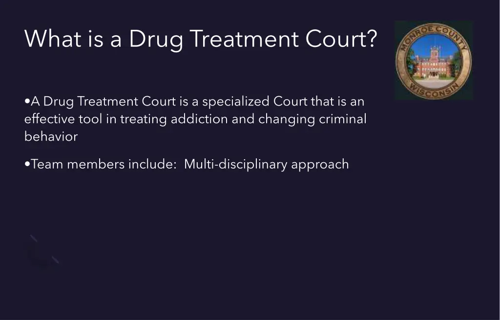 what is a drug treatment court