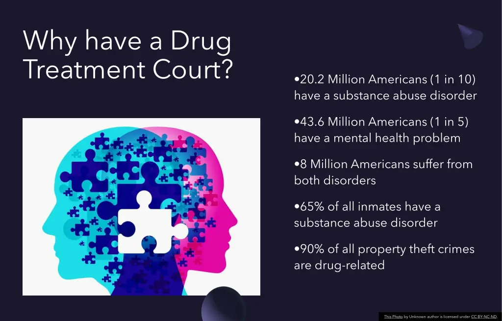 why have a drug treatment court