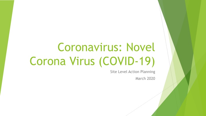 coronavirus novel corona virus covid 19