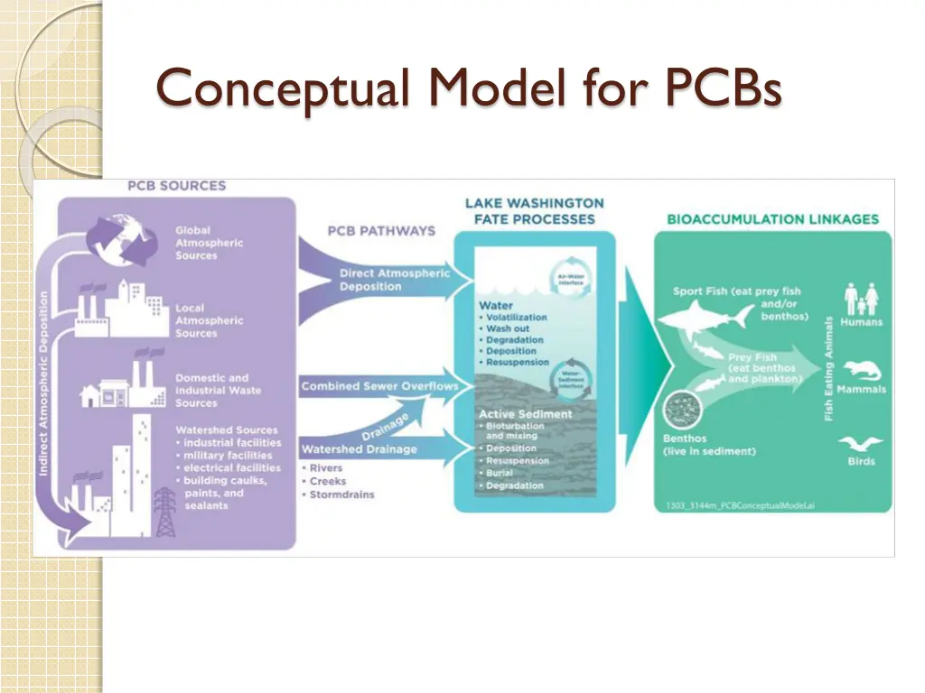 conceptual model for pcbs