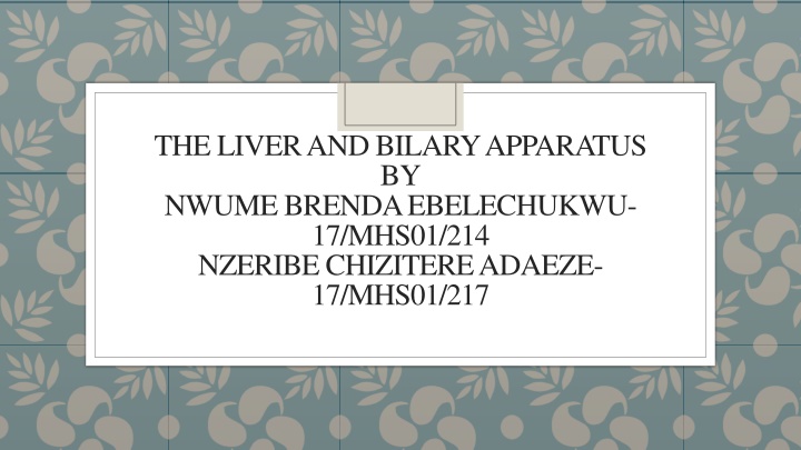 the liver and bilary apparatus by nwume brenda