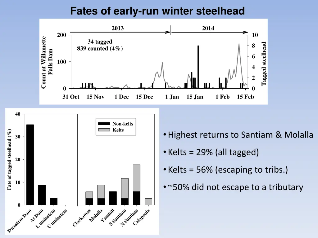 fates of early run winter steelhead