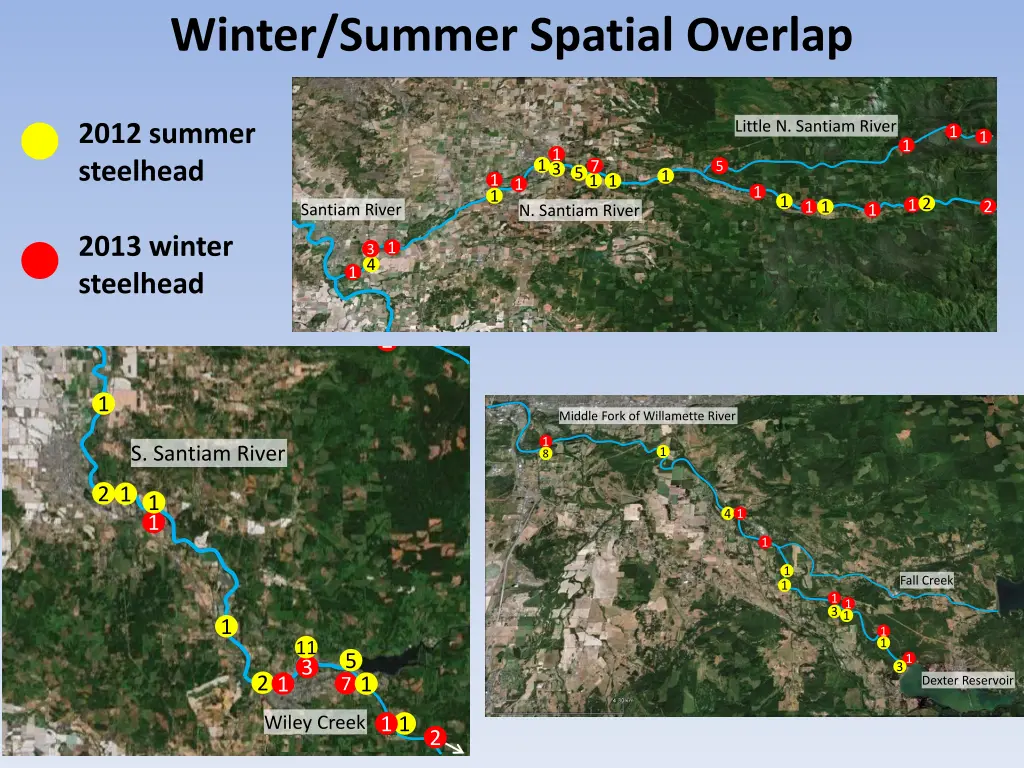 winter summer spatial overlap