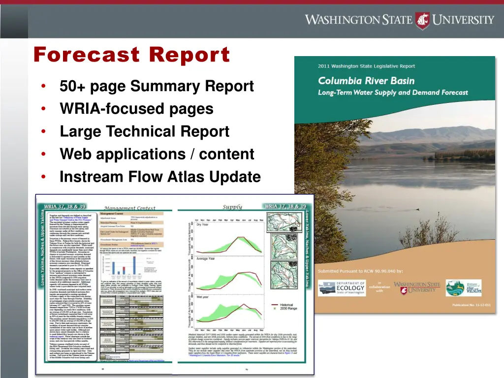 forecast report