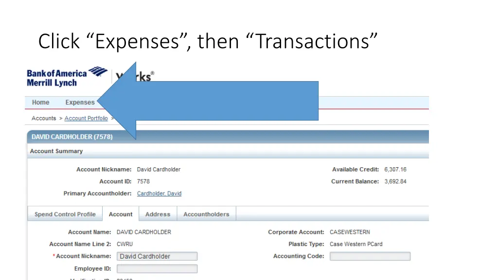 click expenses then transactions