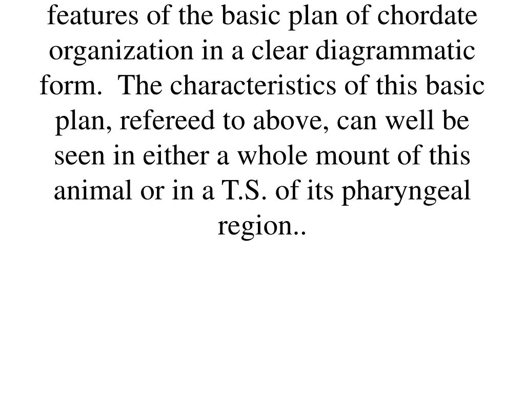 features of the basic plan of chordate