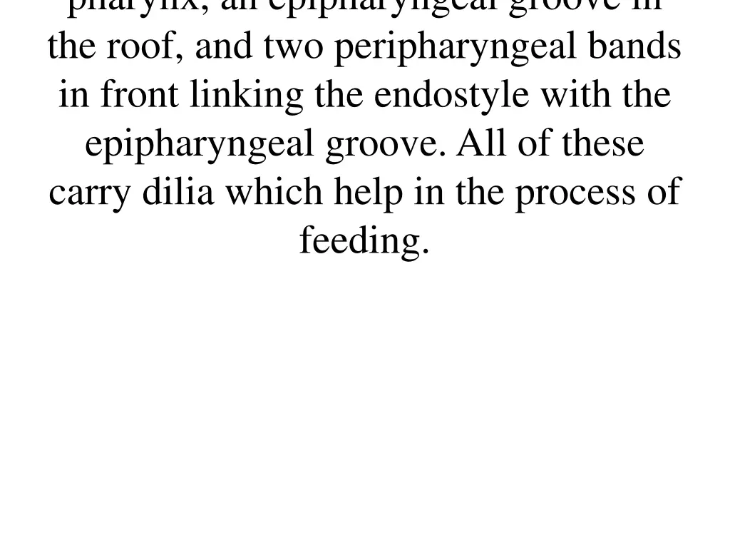 pharynx an epipharyngeal groove in the roof