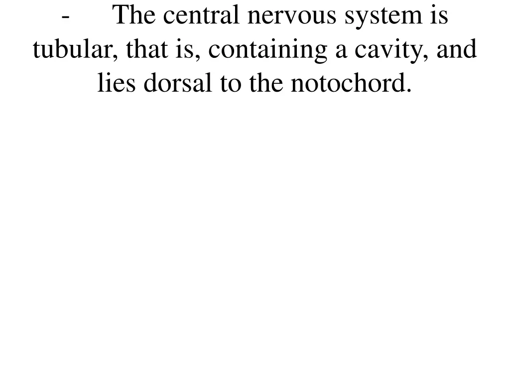 the central nervous system is tubular that