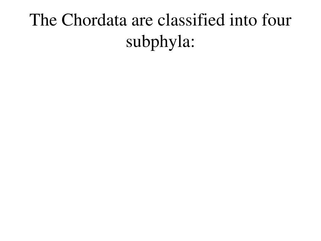 the chordata are classified into four subphyla