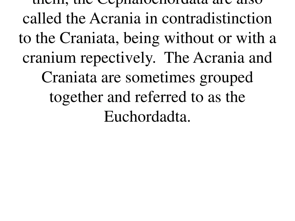 them the cephalochordata are also called