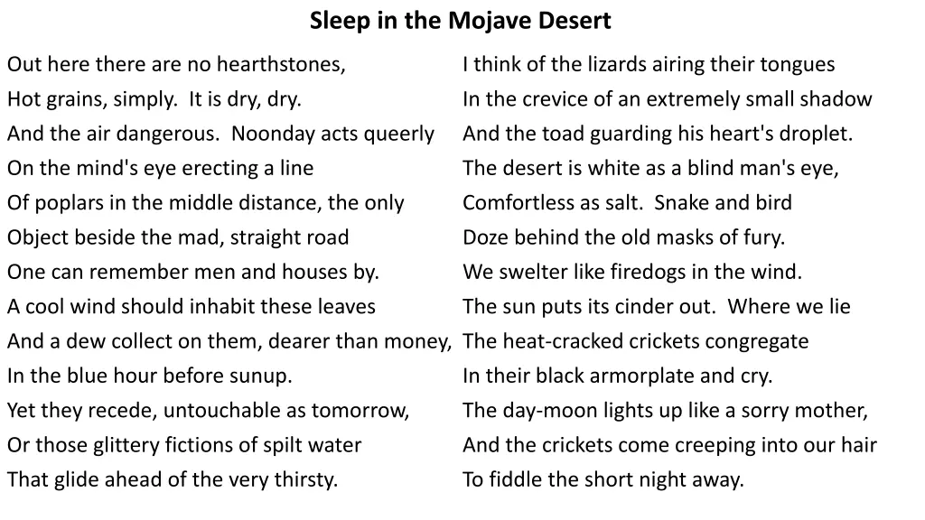 sleep in the mojave desert