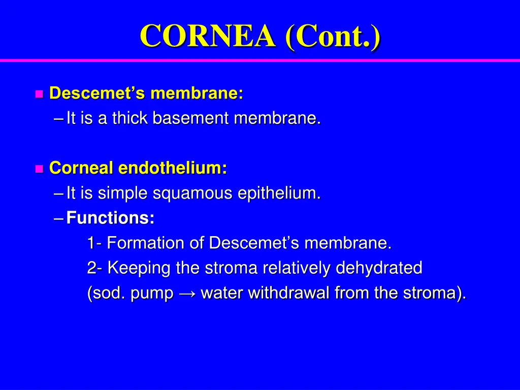 cornea cont 2