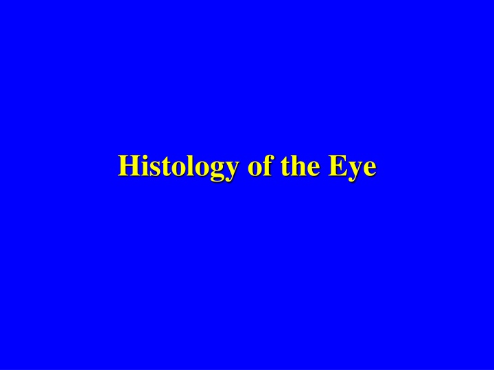 histology of the eye