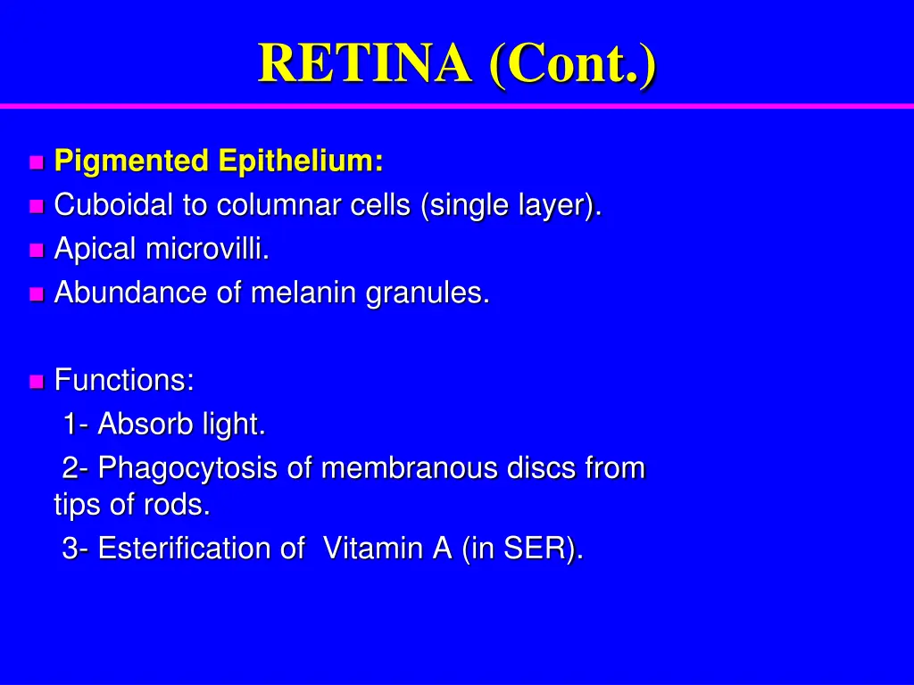 retina cont 1