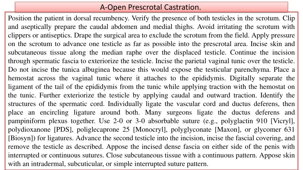 a open prescrotal castration