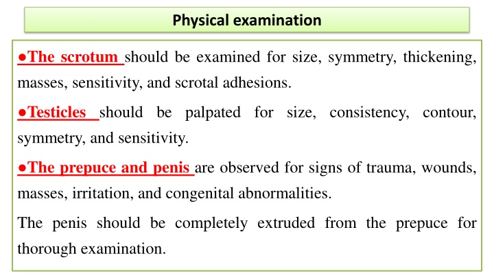 physical examination