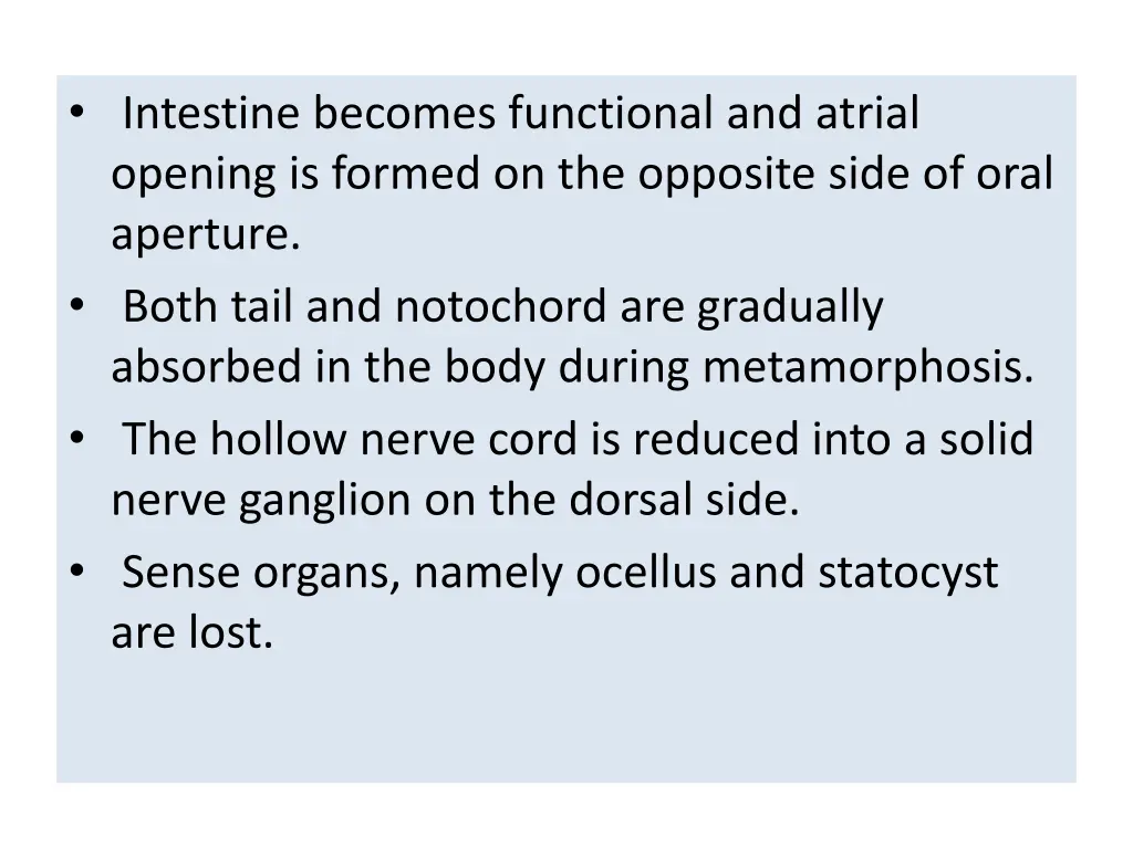 intestine becomes functional and atrial opening