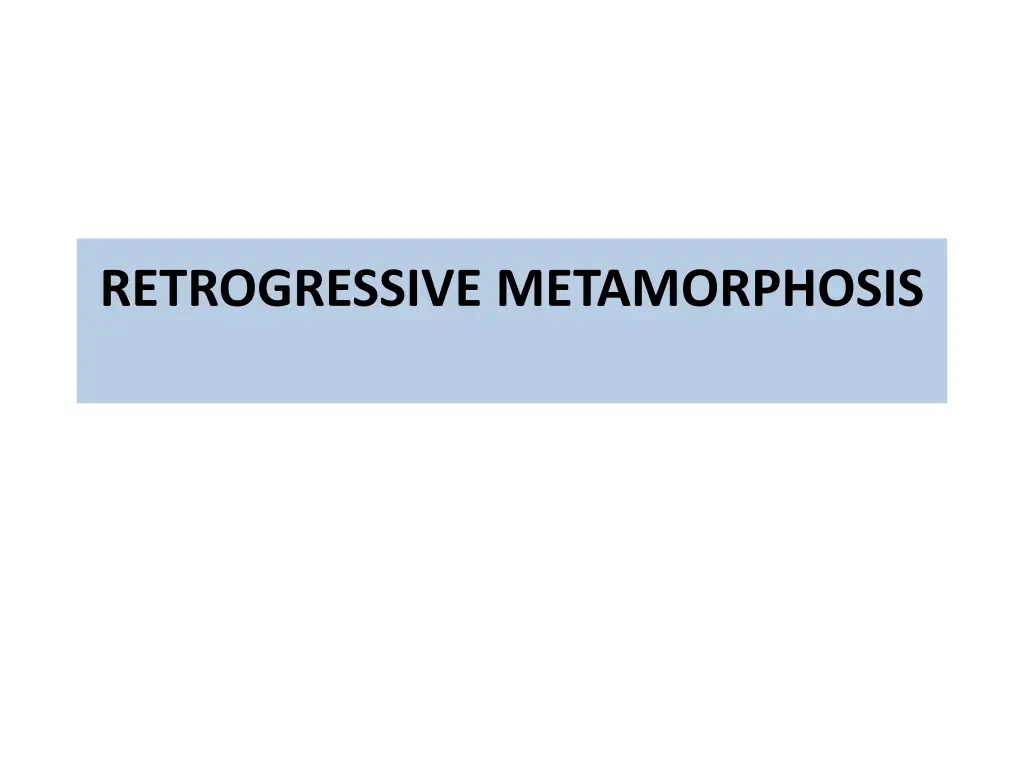 retrogressive metamorphosis