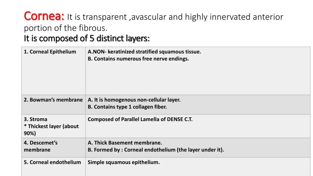 cornea cornea it is transparent avascular