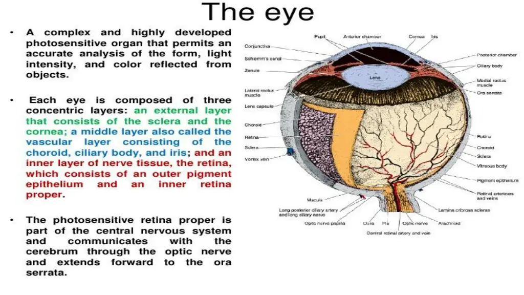 slide2