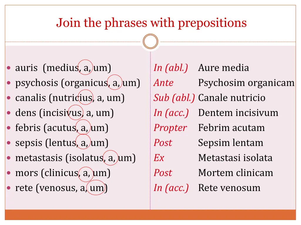 add the correct adjective and form the plural