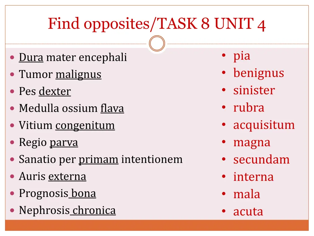 find opposites task 8 unit 4