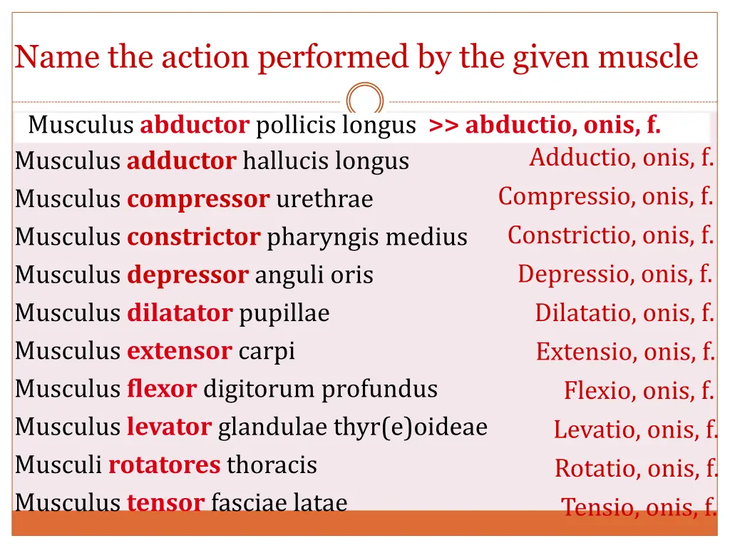 name the action performed by the given muscle