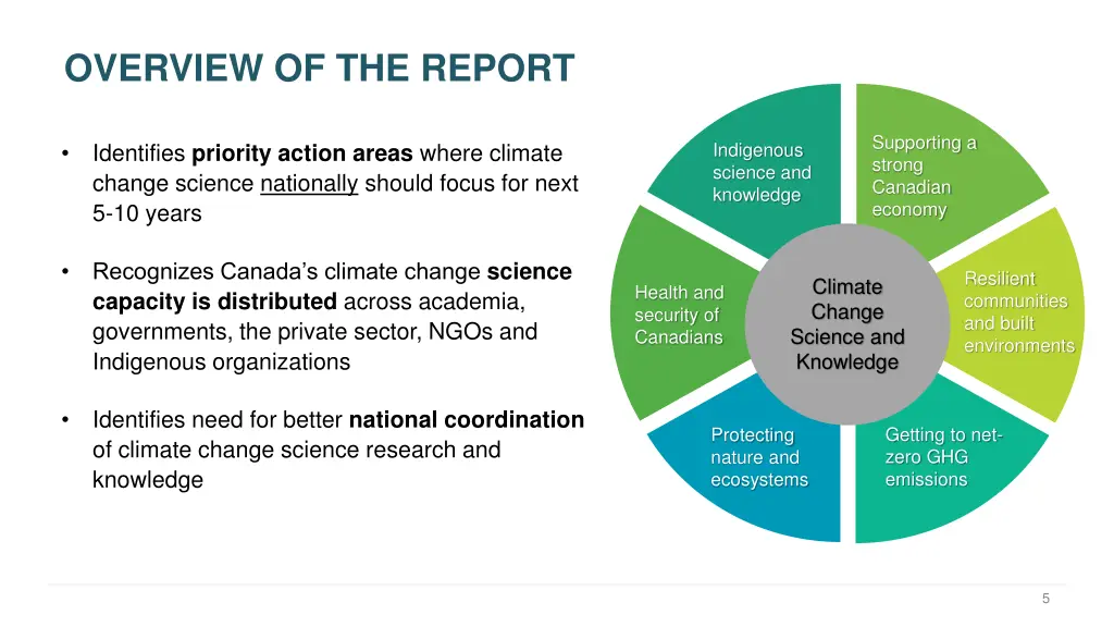 overview of the report