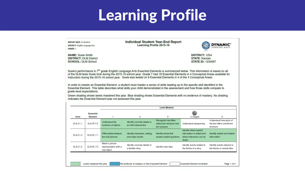 learning profile 3