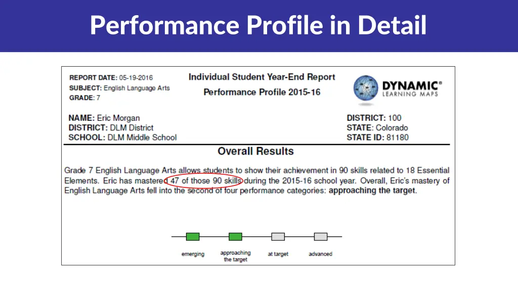 performance profile in detail 1