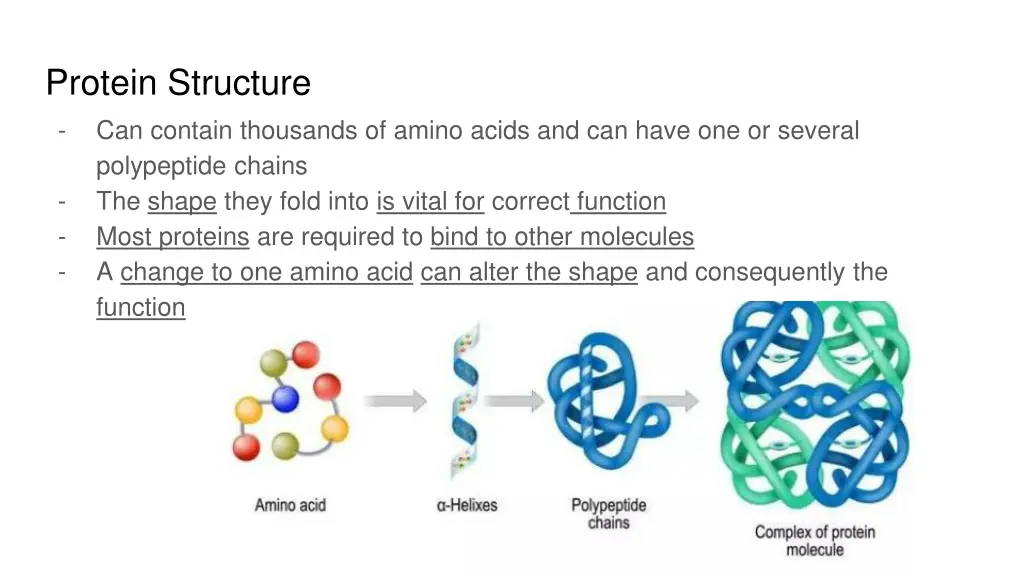 protein structure can contain thousands of amino