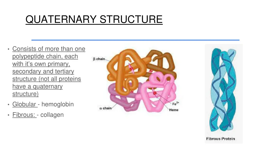 quaternary structure