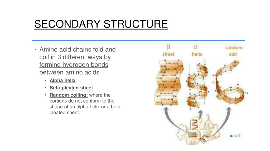 secondary structure