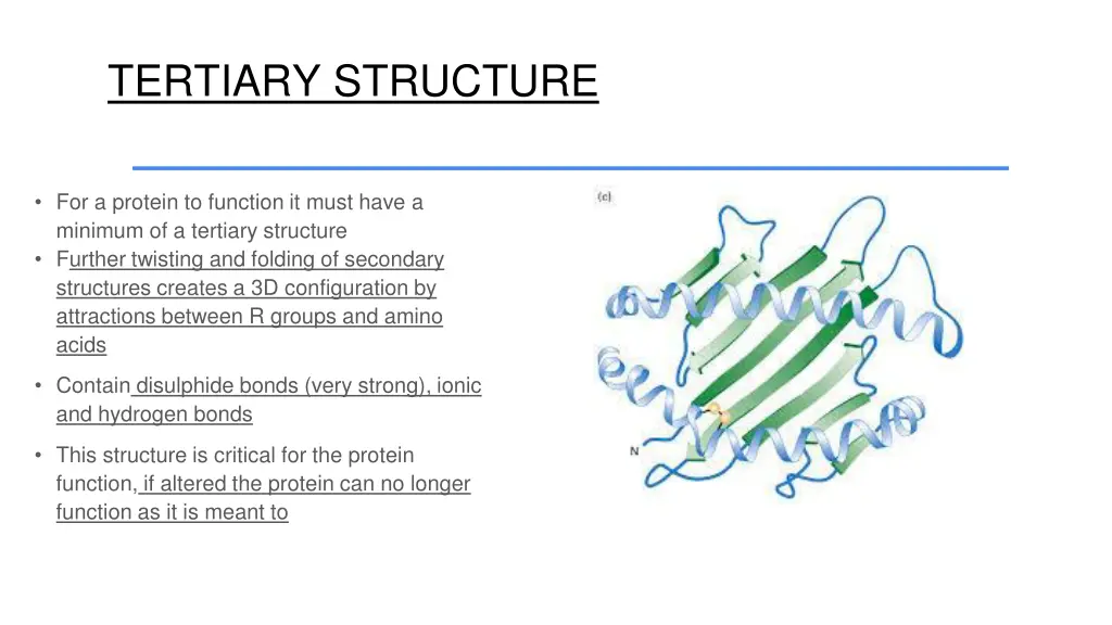 tertiary structure