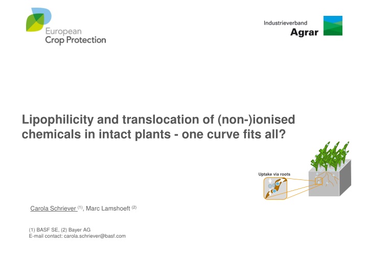 lipophilicity and translocation of non ionised