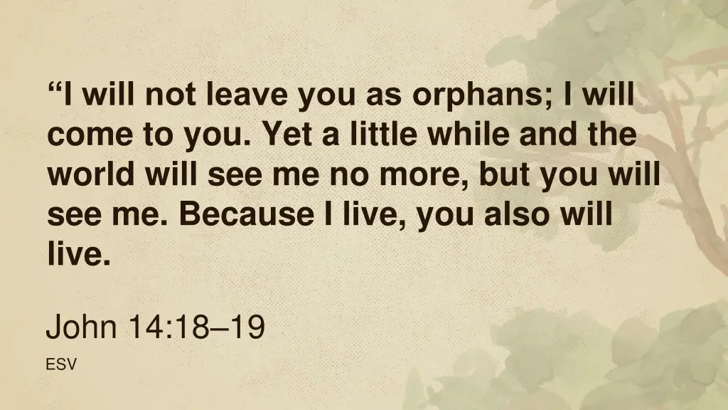 i will not leave you as orphans i will come