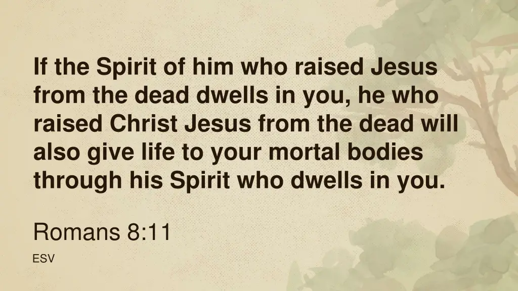 if the spirit of him who raised jesus from