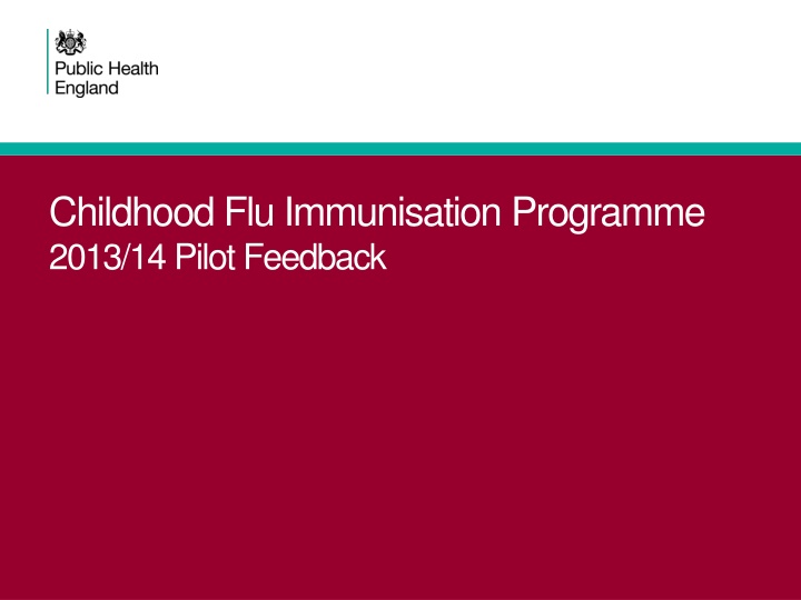 childhood flu immunisation programme 2013