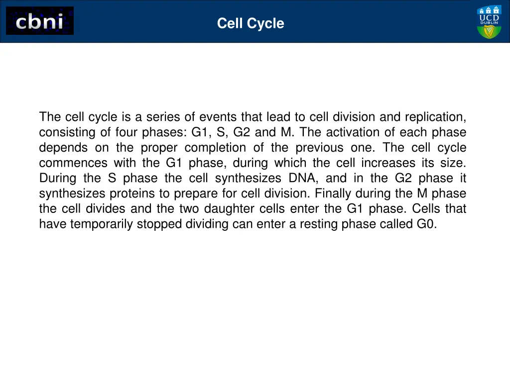 cell cycle