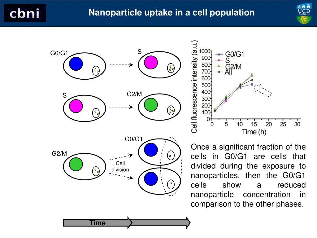 nanoparticle uptake in a cell population 2