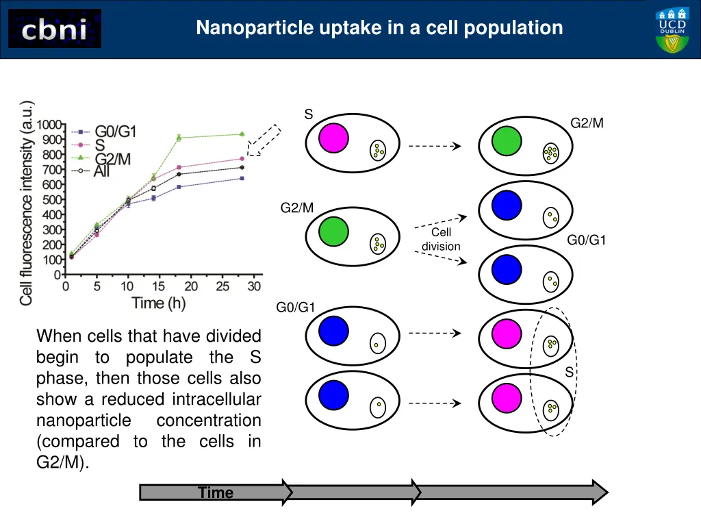 nanoparticle uptake in a cell population 3