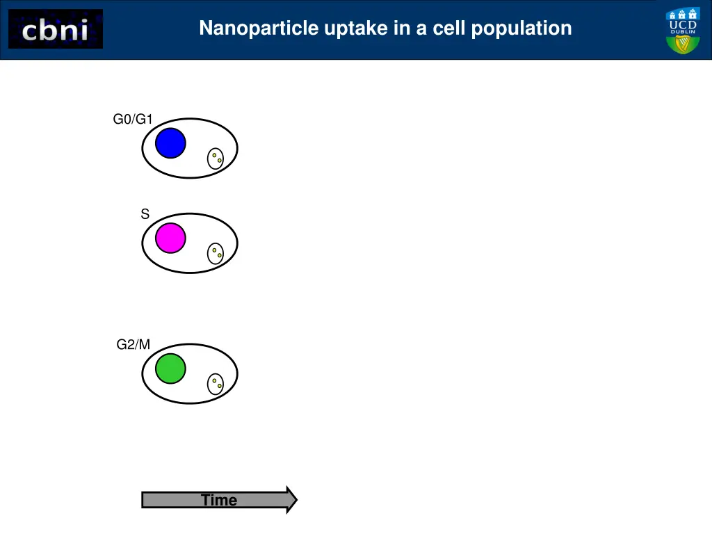 nanoparticle uptake in a cell population